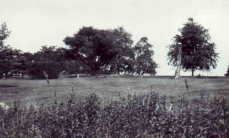 1924 Edgemere Dr (1)